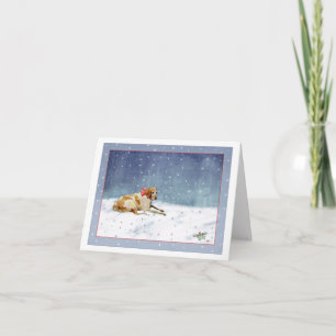 Tarjeta Perro de nieve