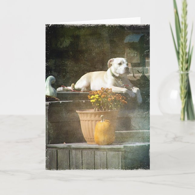 Tarjeta Perro de otoño (Anverso)