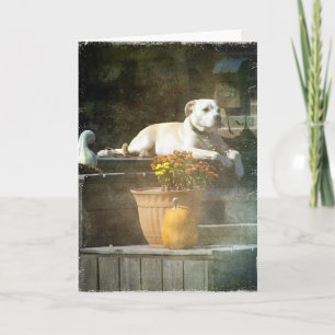 Tarjeta Perro de otoño