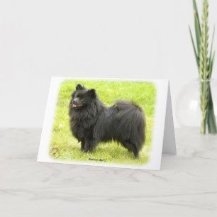 Tarjeta Perro de Pomerania alemán 9W014D-009
