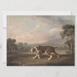 Tarjeta Perro de puntero español (por George Stubbs)