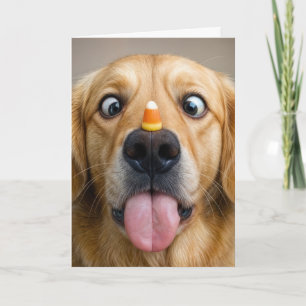 Tarjeta Perro de raza Retriever dorado de cumpleaños con m