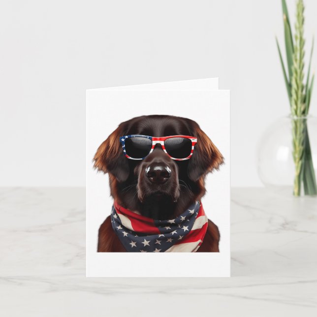 Tarjeta Perro de recuperación de recubrimiento plano 4 De  (Anverso)