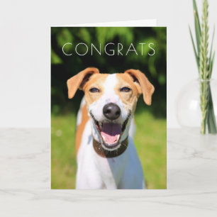 Tarjeta Perro de risa de las imágenes el de Getty