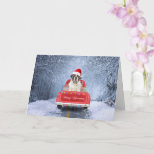 Tarjeta Perro de San Bernardo en un camión de Navidades se