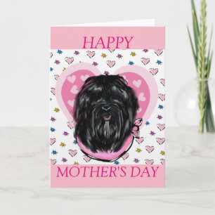 Tarjeta Perro de seda de La Habana