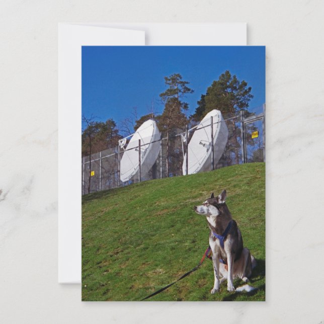 Tarjeta Perro de seguimiento (Anverso)