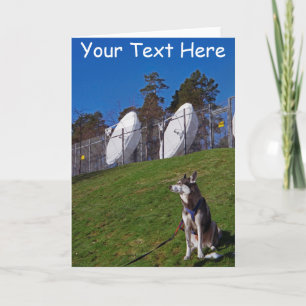 Tarjeta Perro de seguimiento personalizado