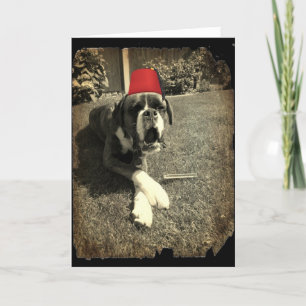 Tarjeta Perro del boxeador del tonelero de Tommy