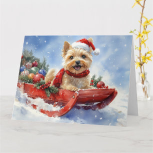 Tarjeta Perro del Cairn Terrier en riesgo deja que nieve N