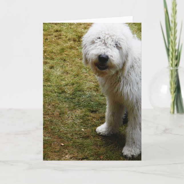 Tarjeta Perro del Día del Pelo Malo, Alarmante (Anverso)