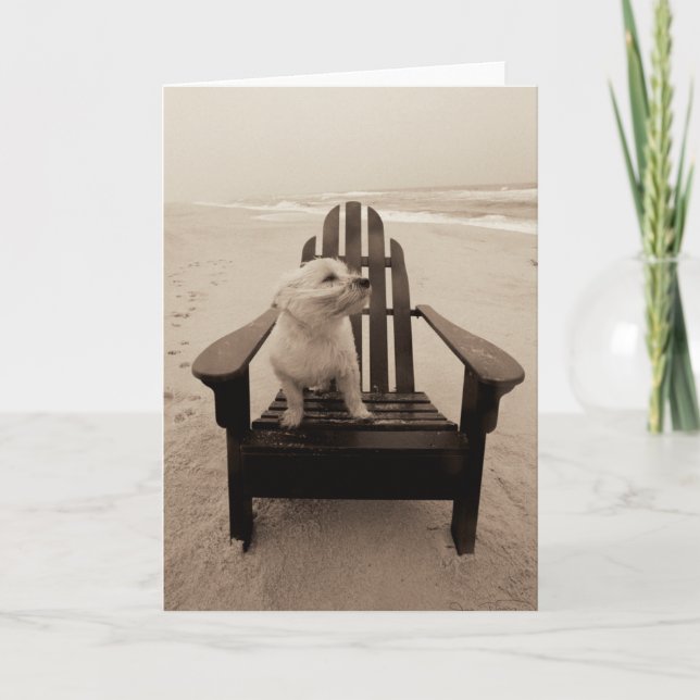 Tarjeta Perro disfrutando de la playa (Anverso)