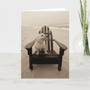 Tarjeta Perro disfrutando de la playa