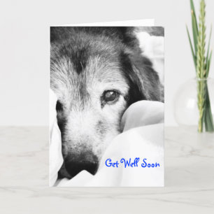 Tarjeta perro dormido en la cama abrazo negro blanco