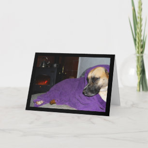Tarjeta Perro dormido junto a la chimenea