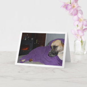 Tarjeta Perro dormido junto a la chimenea