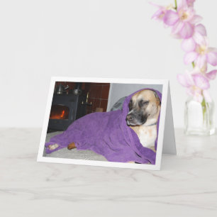Tarjeta Perro dormido junto a la chimenea