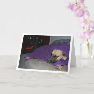Tarjeta Perro durmiendo junto a la chimenea