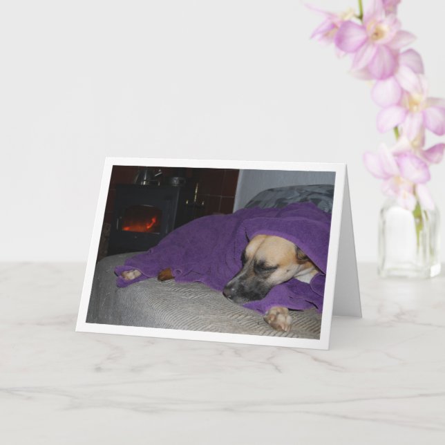 Tarjeta Perro durmiendo por chimenea (Orquídea)