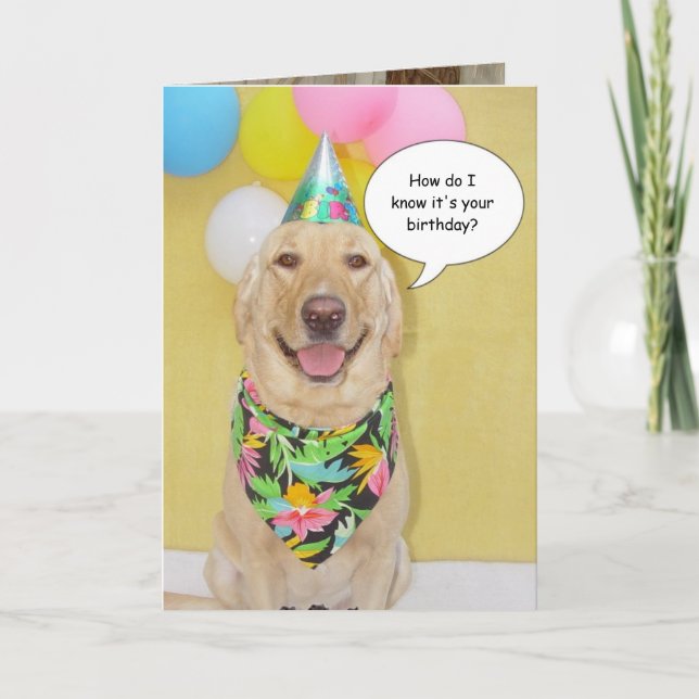 Tarjeta Perro el oler de la torta (Anverso)