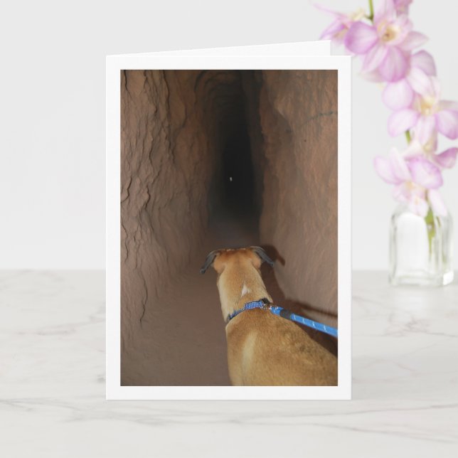 Tarjeta Perro en cueva (Orquídea)