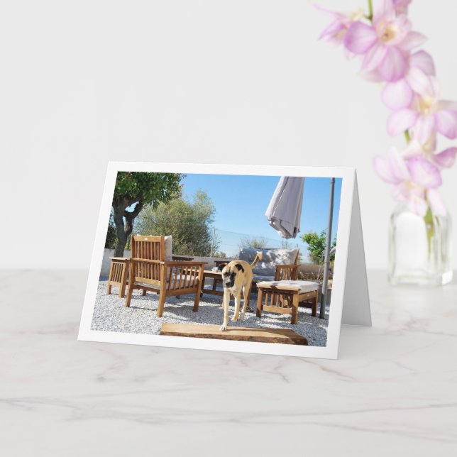 Tarjeta Perro en jardín (Orquídea)