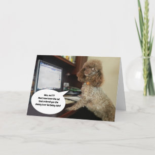 Tarjeta Perro en la computadora, culpa a gato por cumpleañ