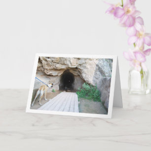 Tarjeta Perro en la cueva