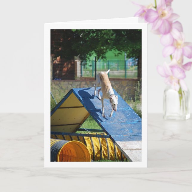 Tarjeta Perro en la escuela de entrenamiento (Orquídea)