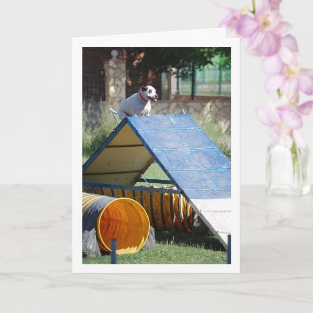 Tarjeta Perro en la escuela de entrenamiento (Orquídea)