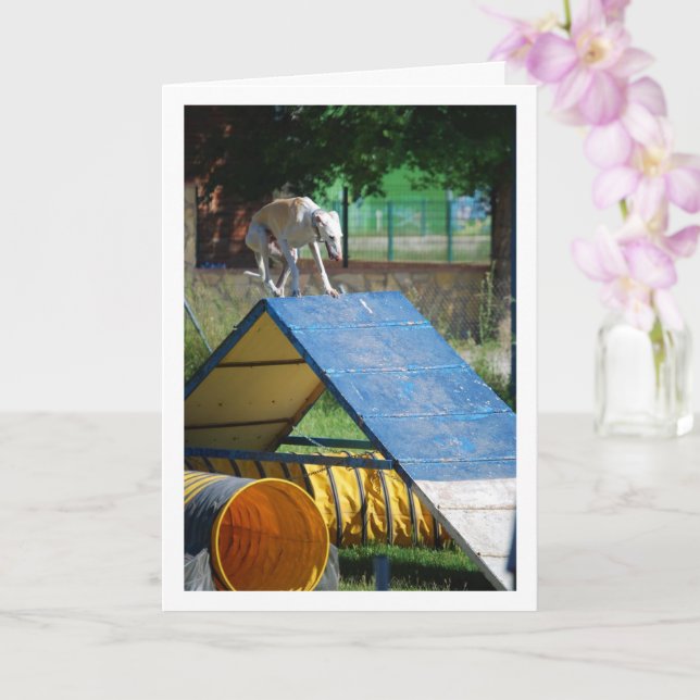 Tarjeta Perro en la escuela de entrenamiento (Orquídea)