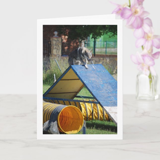 Tarjeta Perro en la escuela de entrenamiento (Orquídea)