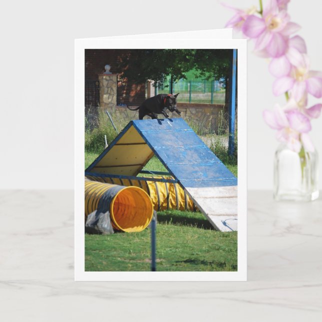 Tarjeta Perro en la Escuela de Entrenamiento (Orquídea)