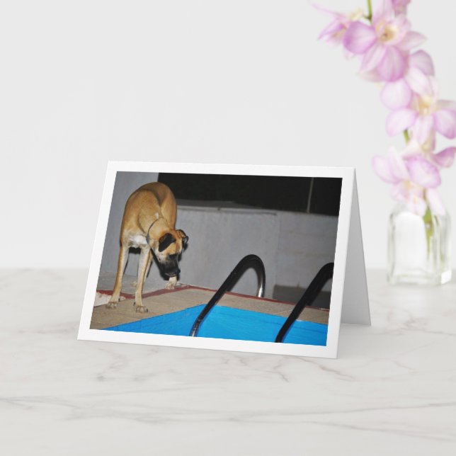 Tarjeta Perro en la piscina (Orquídea)