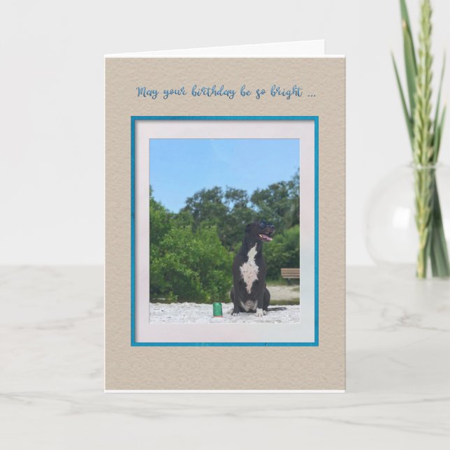 Tarjeta Perro en la playa Cumpleaños (Anverso)