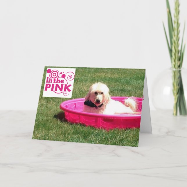 TARJETA PERRO EN LA ROPA/PISCINA DEL CUMPLEAÑOS (Anverso)