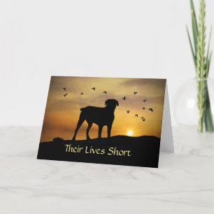Tarjeta Perro en la simpatía por la puesta del sol Pérdida