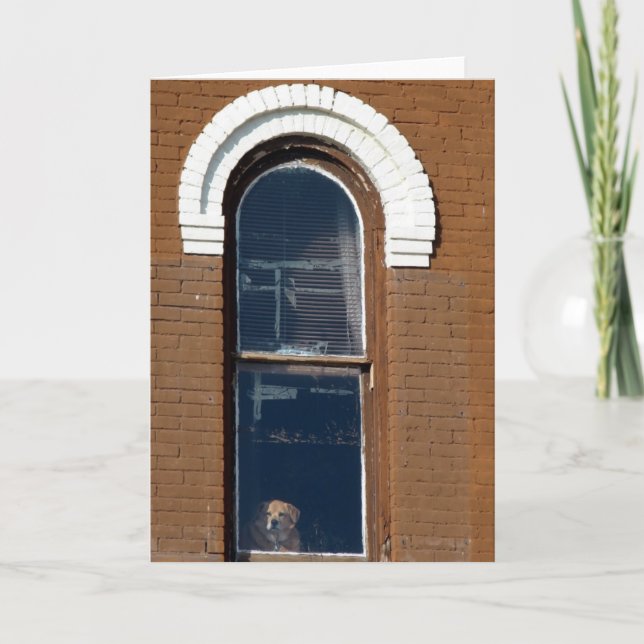Tarjeta Perro en la ventana (Anverso)