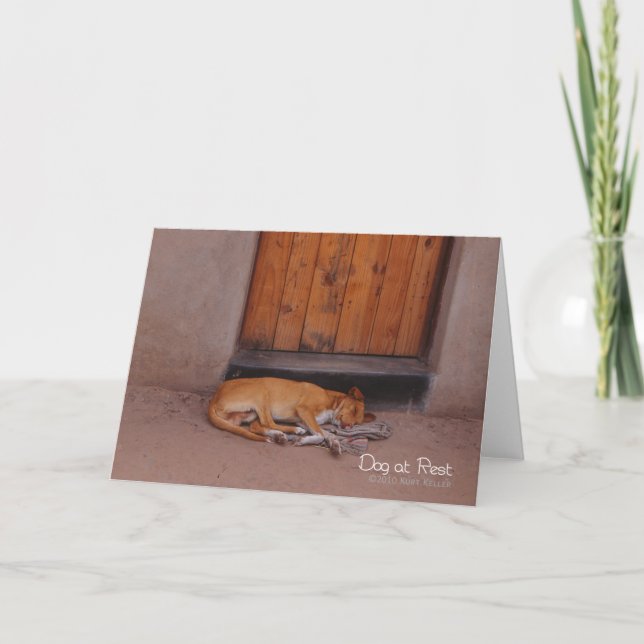 Tarjeta Perro en reposo (Anverso)