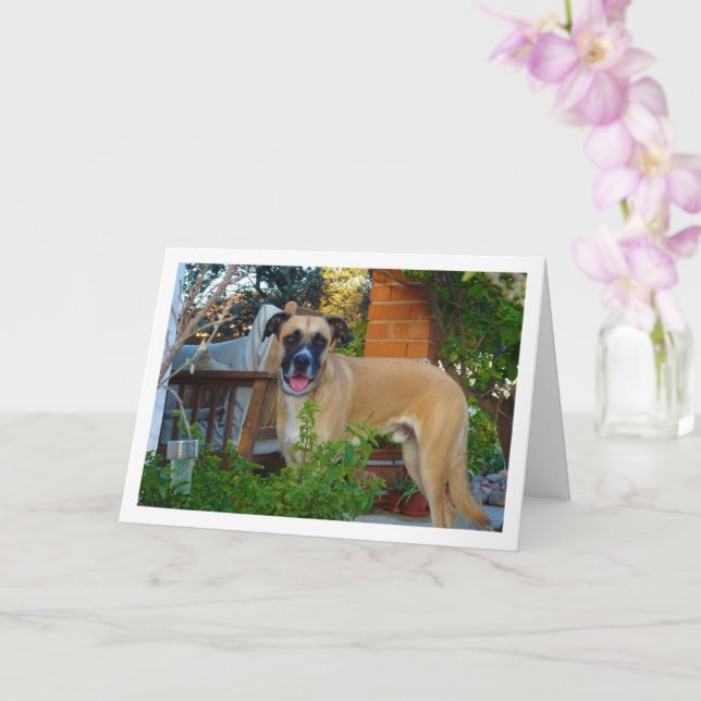 Tarjeta Perro en retrato de jardín (Orquídea)