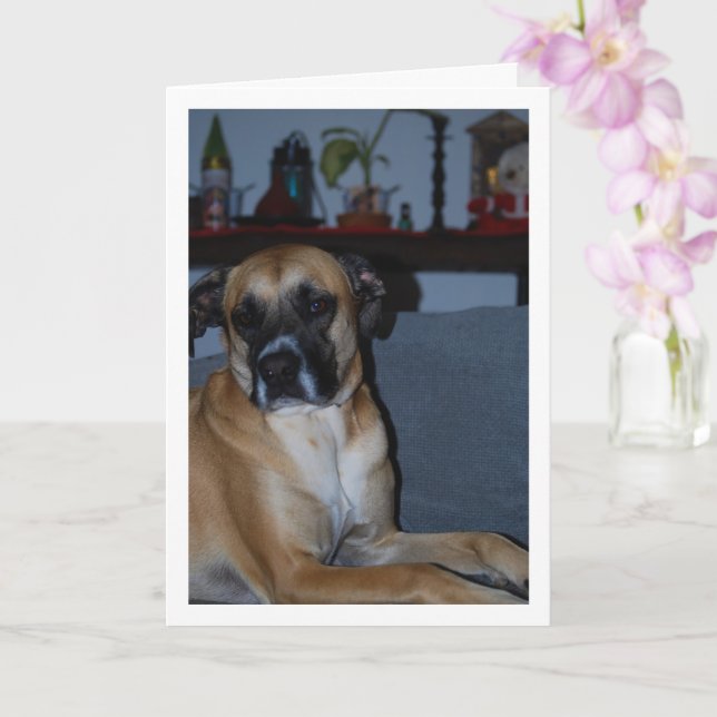 Tarjeta Perro en retrato de Sofa (Orquídea)