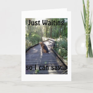 TARJETA PERRO EN UN CAMINO DE MADERA ESPERA DECIR FELIZ CU