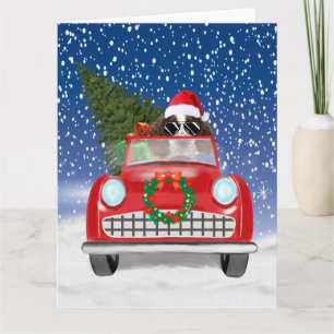 Tarjeta Perro English Springer Spaniel Coche En Nieve Navi