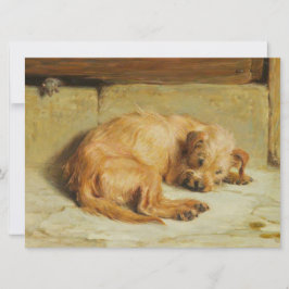 Tarjeta Perro español de Cocker vigilante