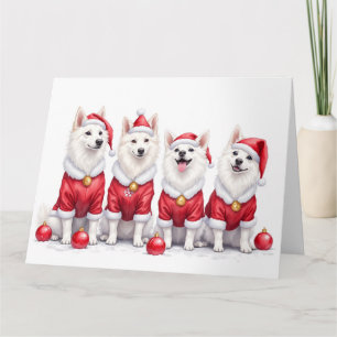 Tarjeta Perro Esquimal Americano Vestido De Navidad Sombre