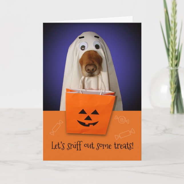 Tarjeta Perro fantasma de Halloween, Tratamientos de salid (Anverso)