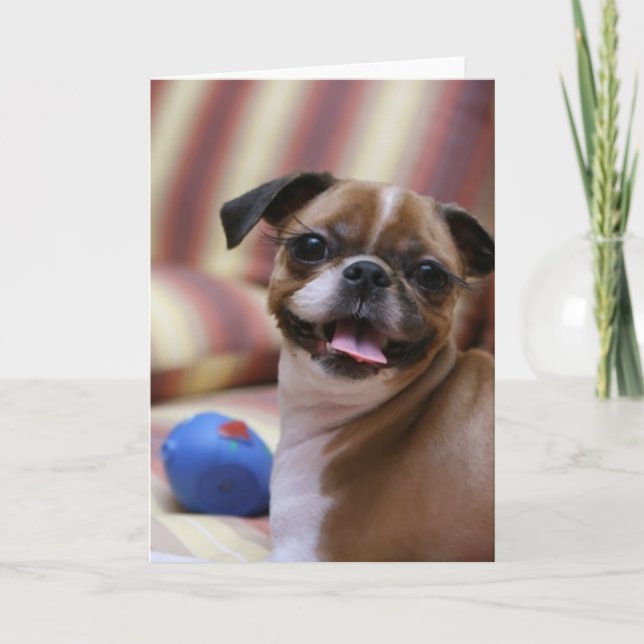 Tarjeta Perro feliz con juguete (Anverso)