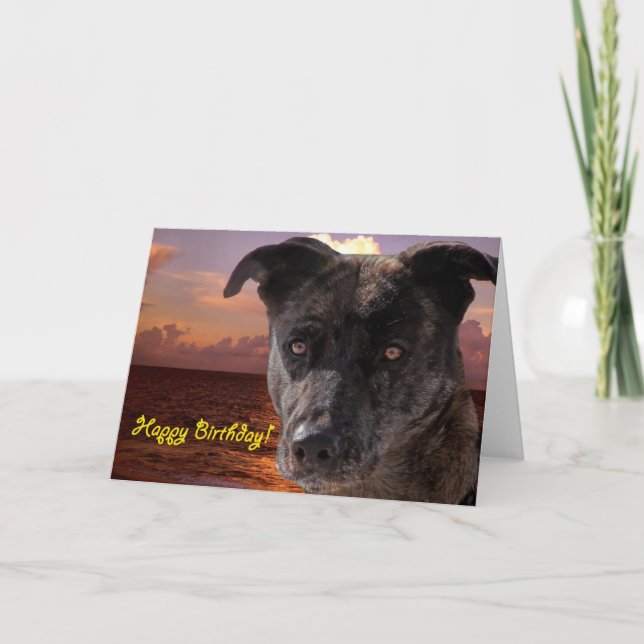 Tarjeta Perro feliz cumpleaños (Anverso)