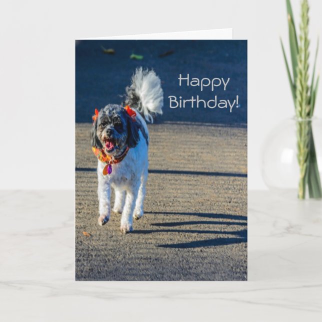 Tarjeta Perro feliz cumpleaños (Anverso)