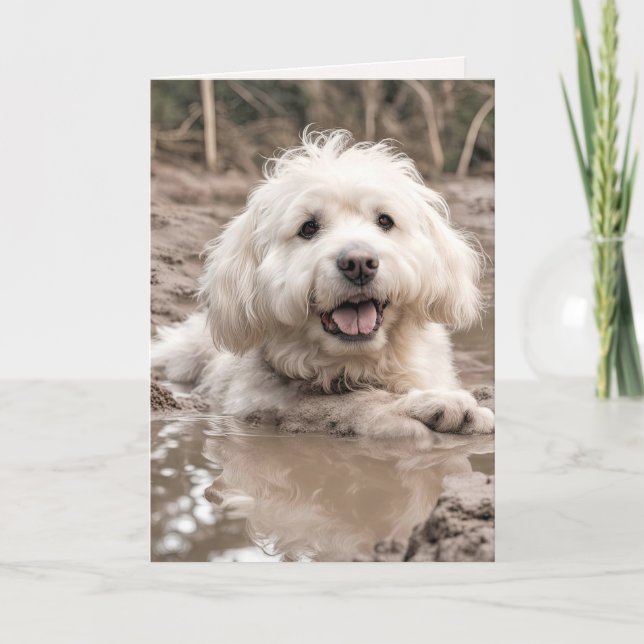 Tarjeta Perro feliz en el charco de barro (Anverso)